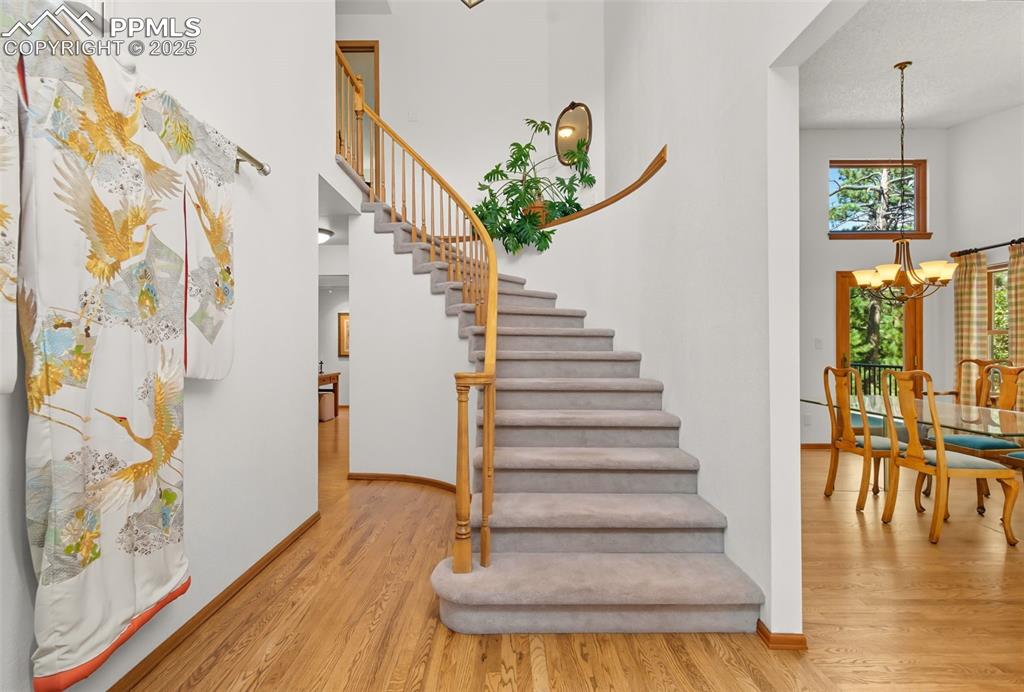 20 Lowick Drive Colorado Springs CO 80906