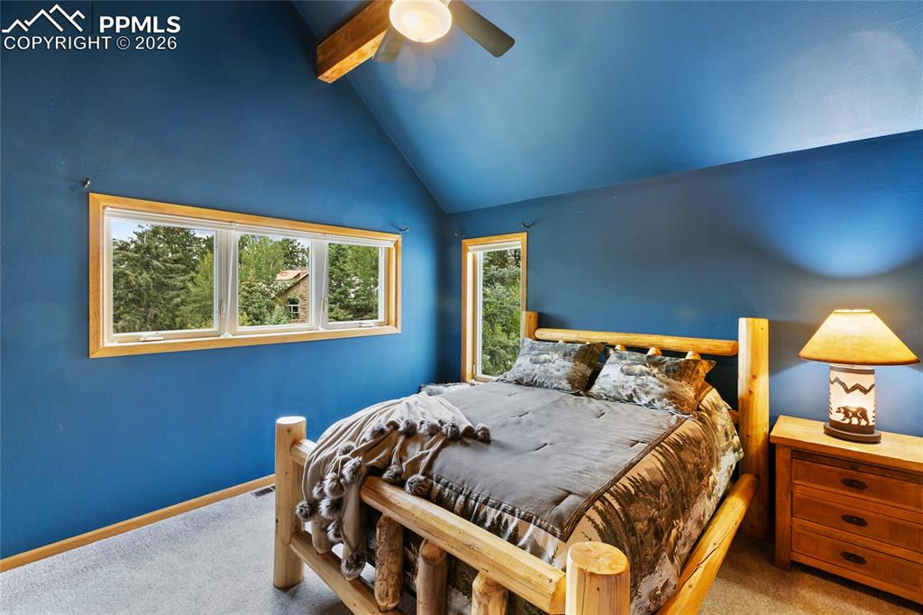 591 Skyline Drive Woodland Park CO 80863