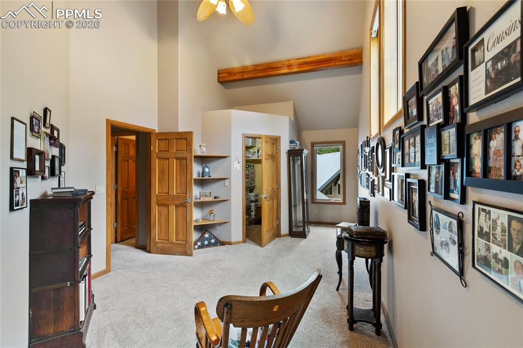 591 Skyline Drive Woodland Park CO 80863