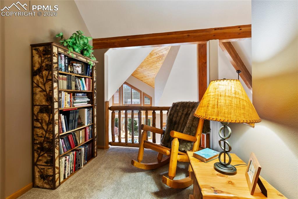 591 Skyline Drive Woodland Park CO 80863