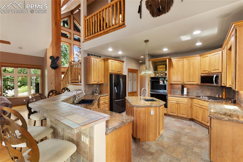 591 Skyline Drive Woodland Park CO 80863