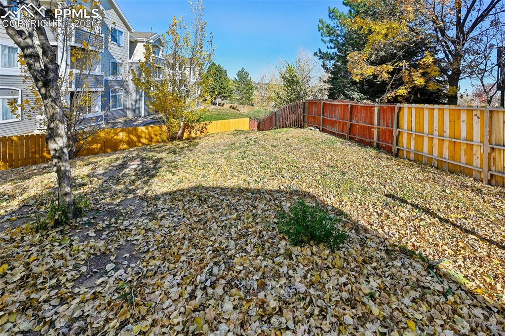 1088 Whistler Hollow Drive Colorado Springs CO 80906