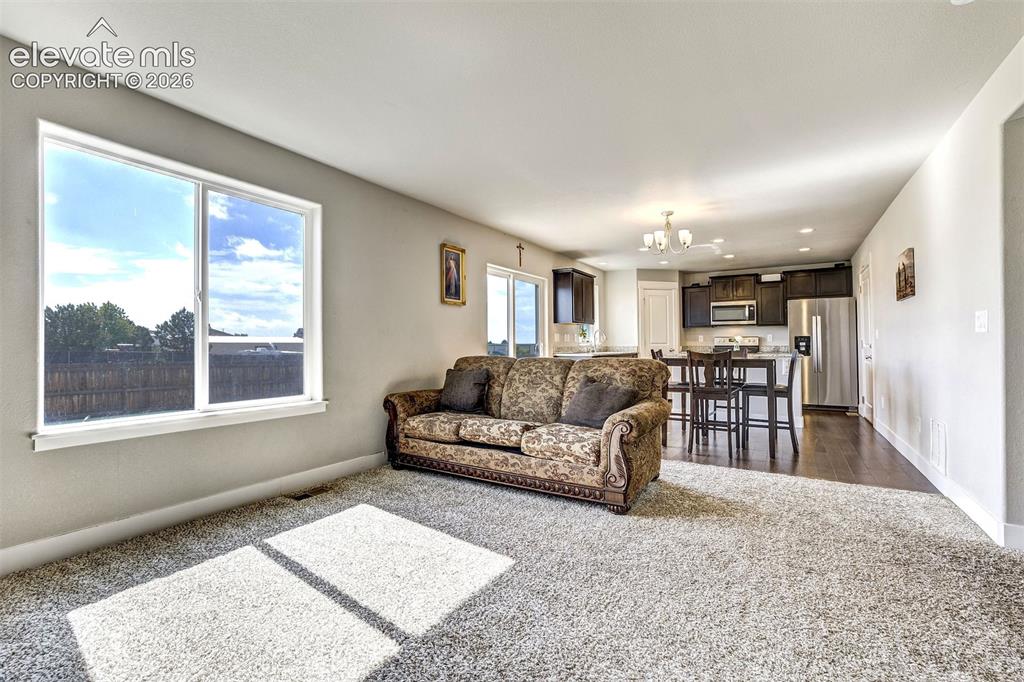 2971 Namib Drive Colorado Springs CO 80939