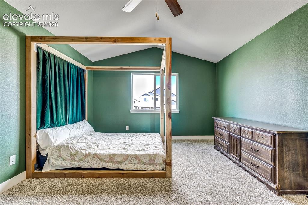 2971 Namib Drive Colorado Springs CO 80939