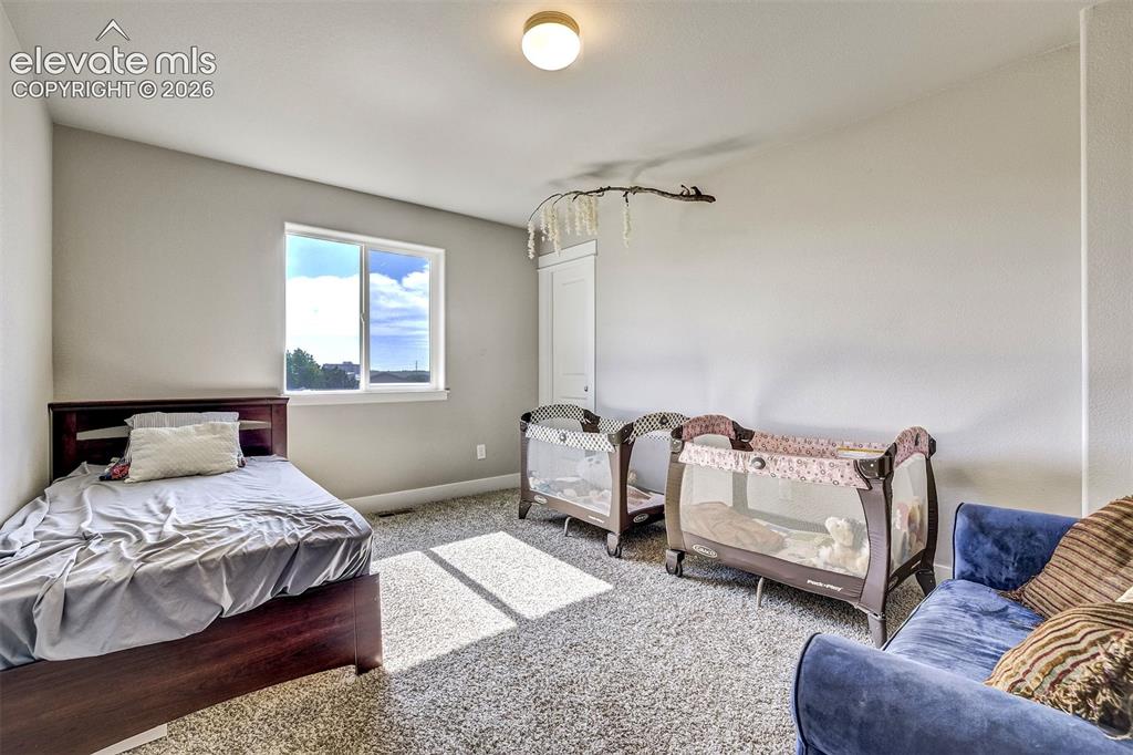 2971 Namib Drive Colorado Springs CO 80939