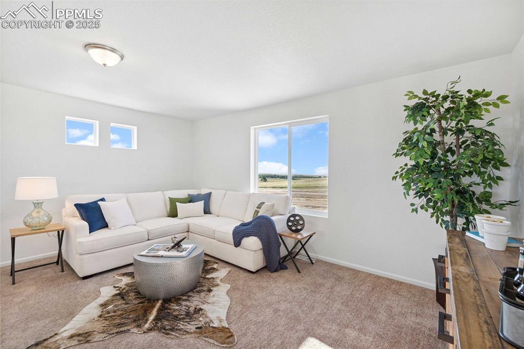 9349 Twin Sisters Drive Colorado Springs CO 80927