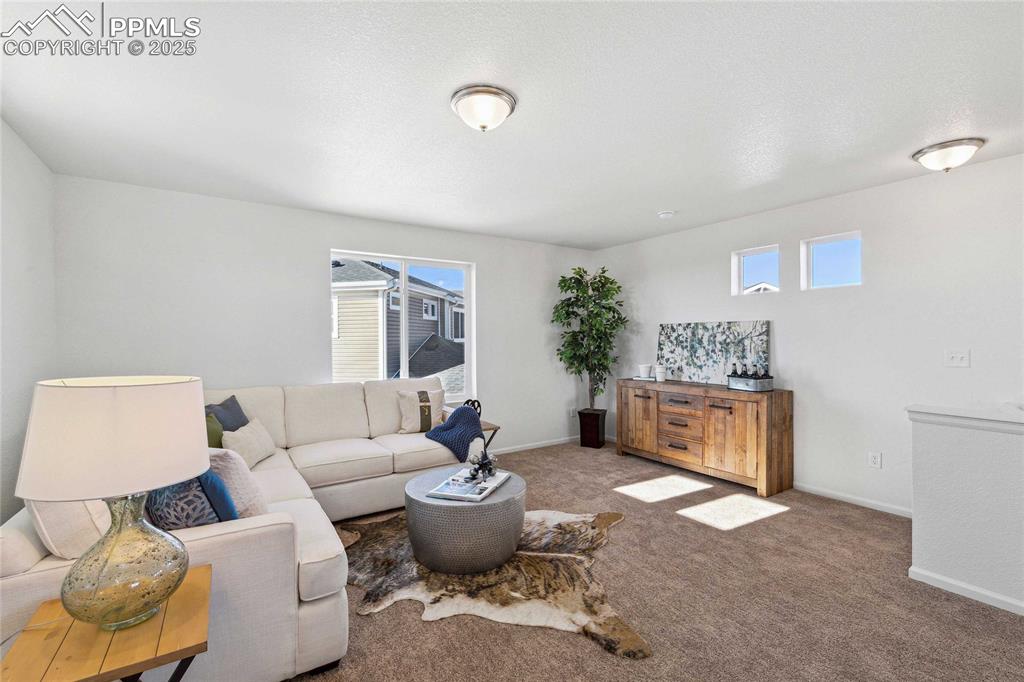 9349 Twin Sisters Drive Colorado Springs CO 80927