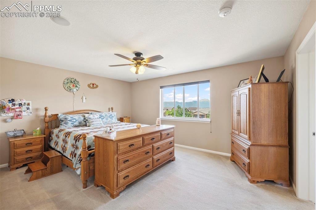 6612 Big Leaf Lane Colorado Springs CO 80927