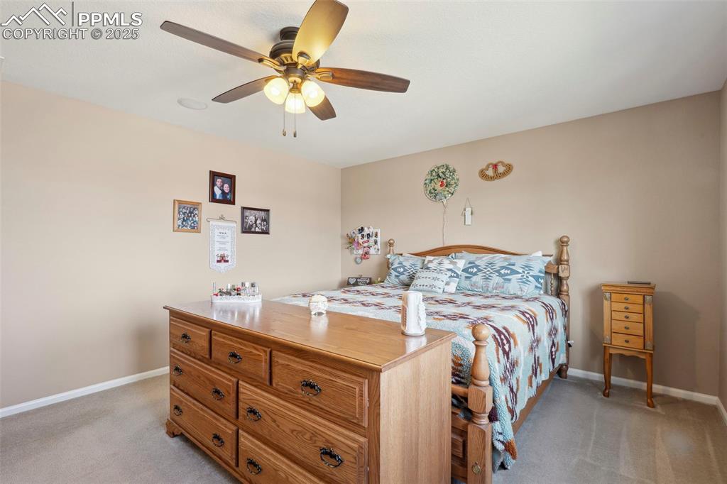 6612 Big Leaf Lane Colorado Springs CO 80927