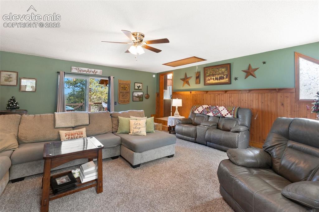 1010 W Bowman Avenue Woodland Park CO 80863