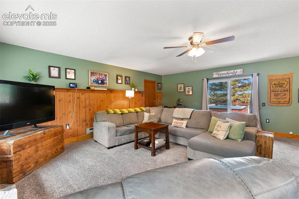 1010 W Bowman Avenue Woodland Park CO 80863