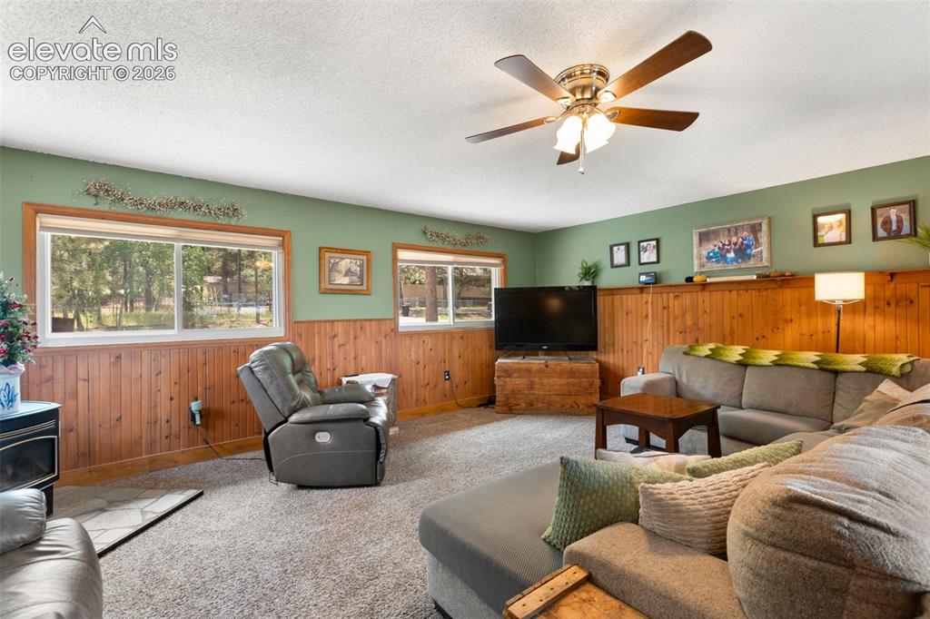 1010 W Bowman Avenue Woodland Park CO 80863