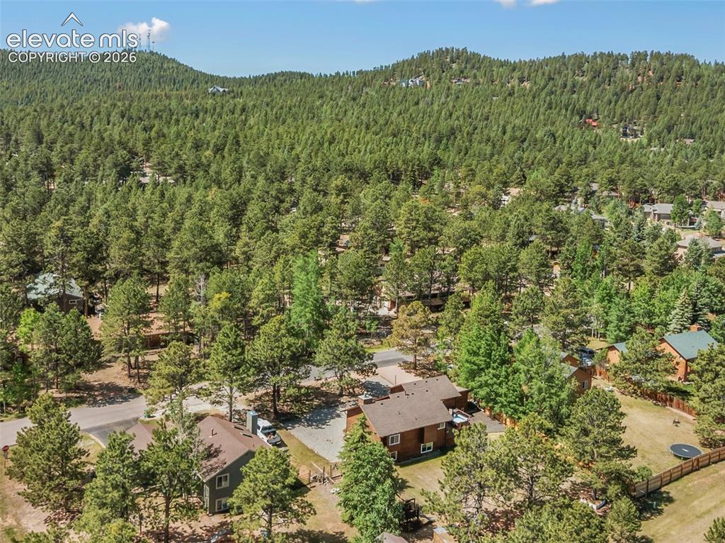1010 W Bowman Avenue Woodland Park CO 80863