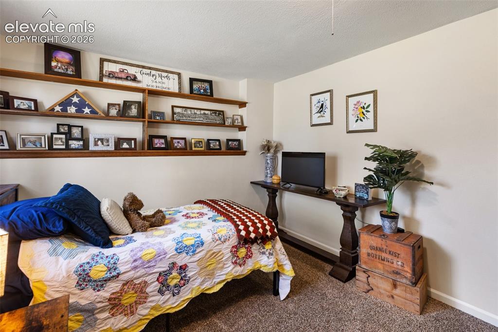 1010 W Bowman Avenue Woodland Park CO 80863