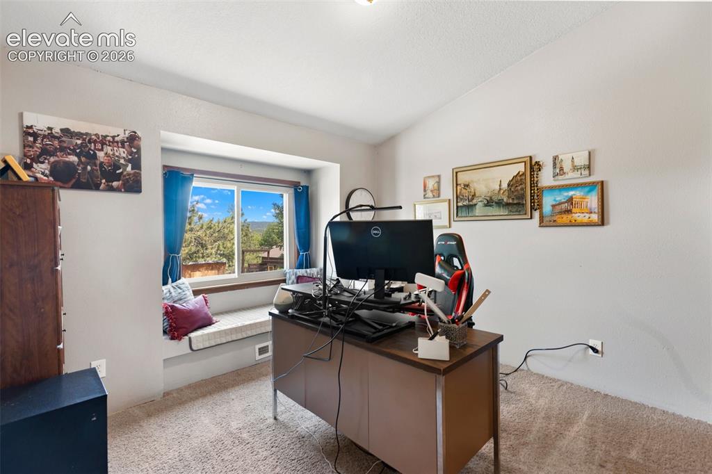 1010 W Bowman Avenue Woodland Park CO 80863