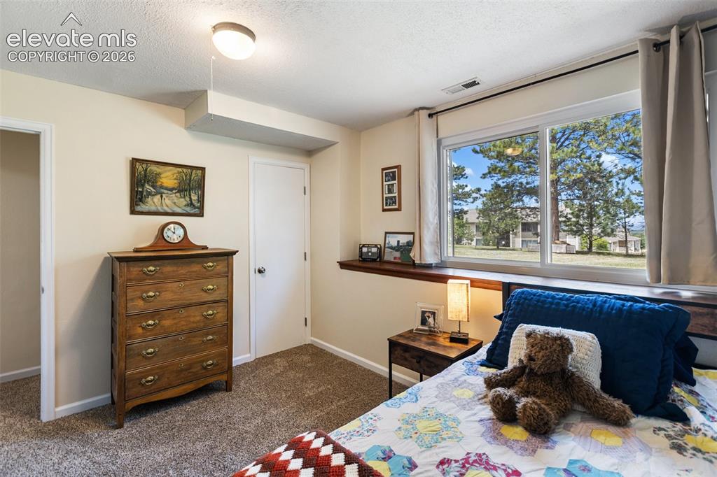 1010 W Bowman Avenue Woodland Park CO 80863