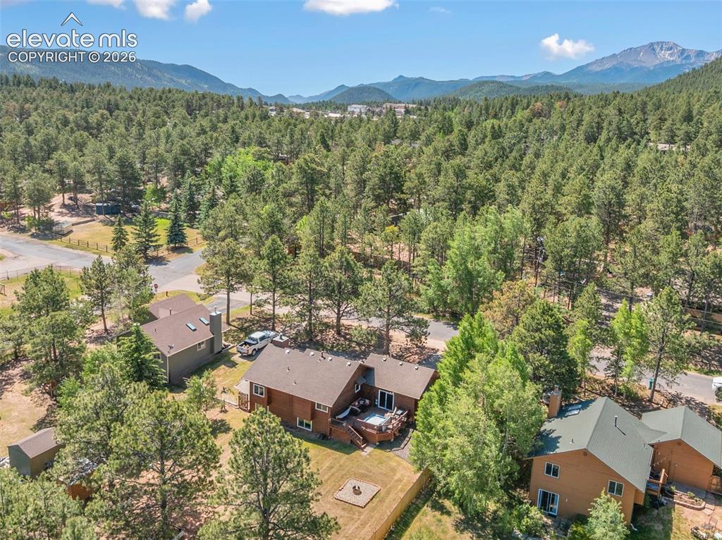1010 W Bowman Avenue Woodland Park CO 80863