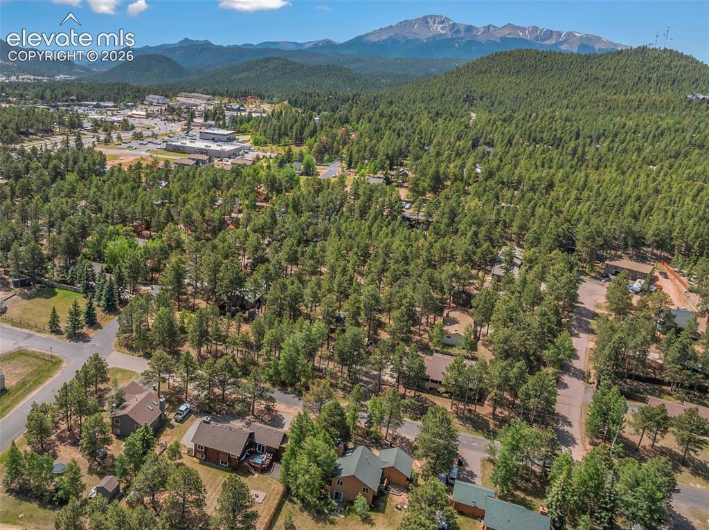 1010 W Bowman Avenue Woodland Park CO 80863