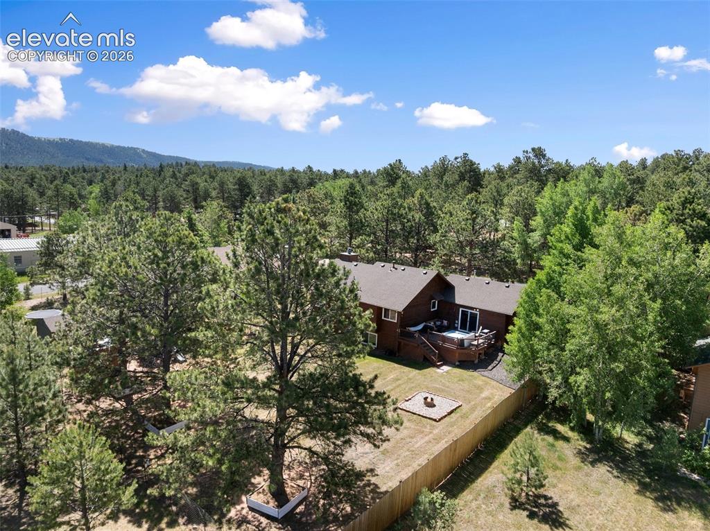 1010 W Bowman Avenue Woodland Park CO 80863