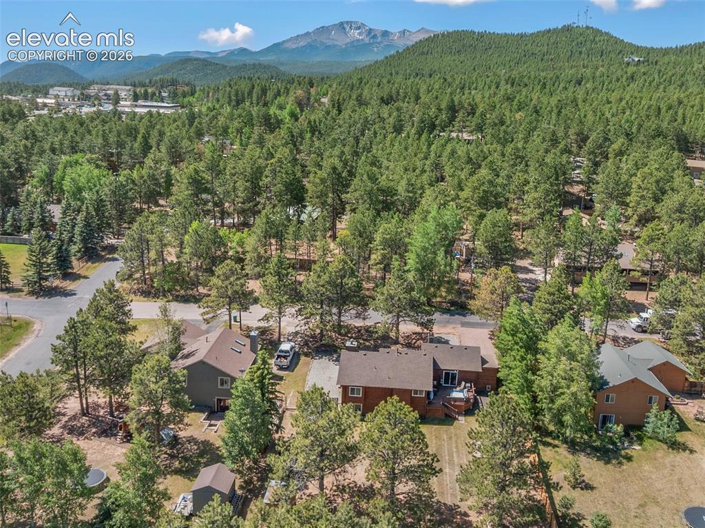1010 W Bowman Avenue Woodland Park CO 80863