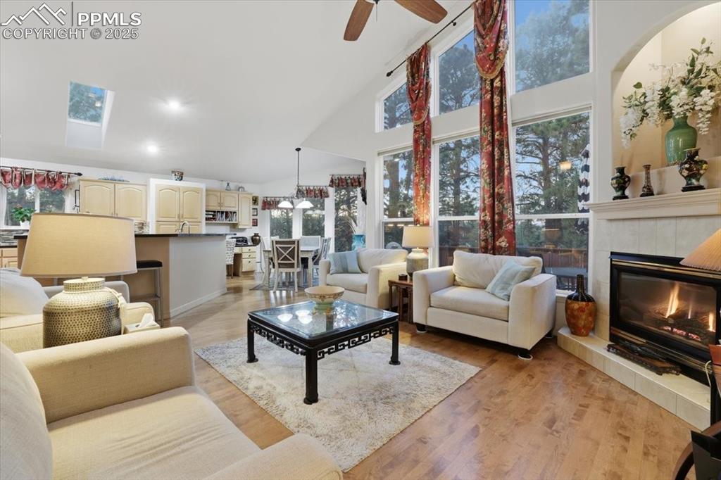 15655 Falcon Ridge Court Colorado Springs CO 80921