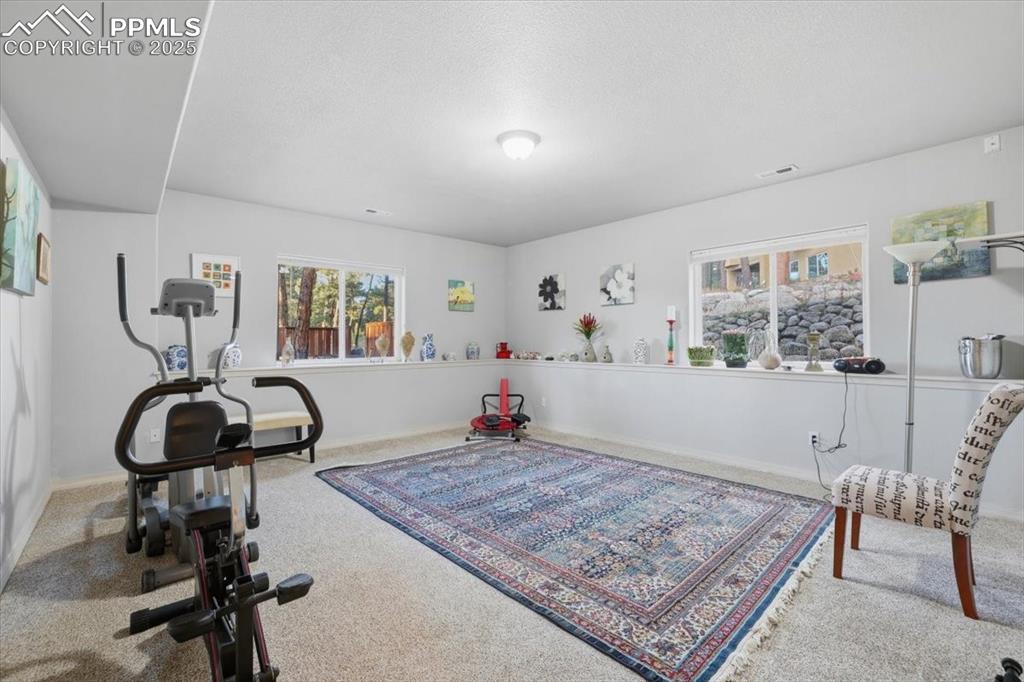 15655 Falcon Ridge Court Colorado Springs CO 80921