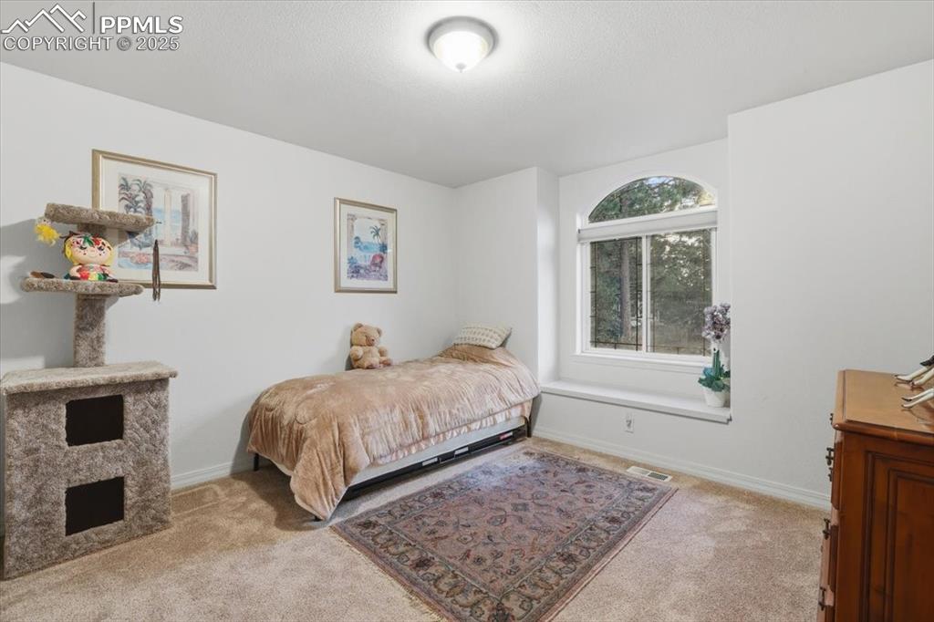 15655 Falcon Ridge Court Colorado Springs CO 80921