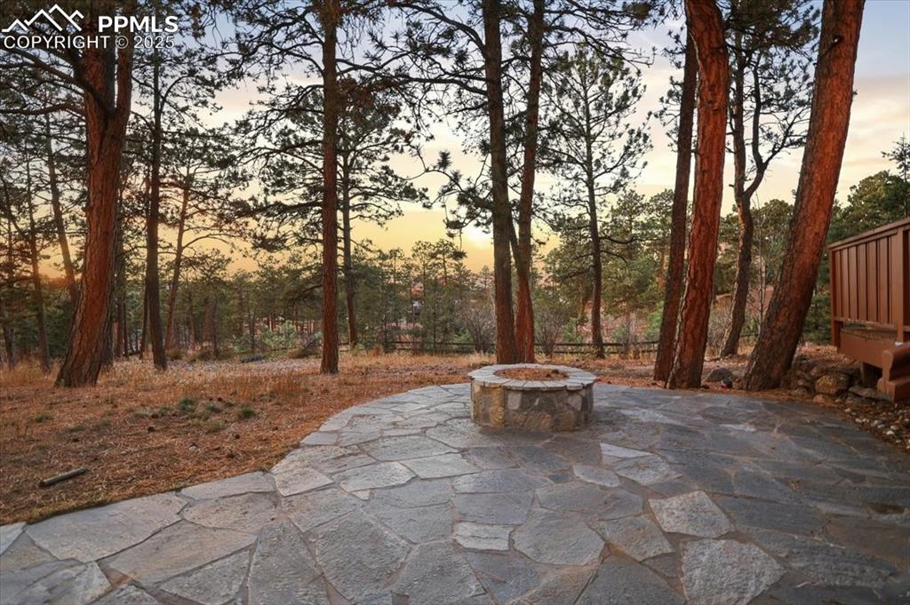 15655 Falcon Ridge Court Colorado Springs CO 80921