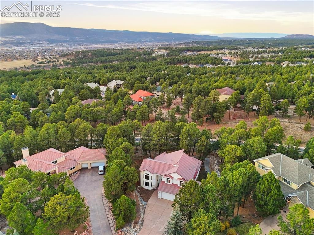 15655 Falcon Ridge Court Colorado Springs CO 80921