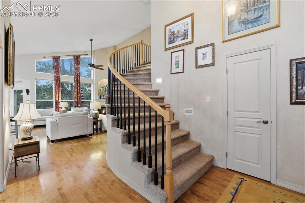 15655 Falcon Ridge Court Colorado Springs CO 80921