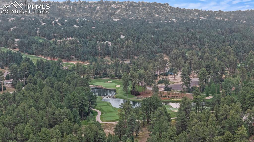 4364 Chateau Ridge Lane Castle Rock CO 80108