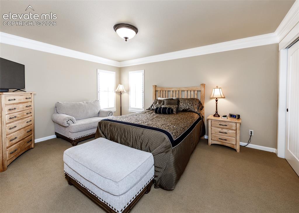 3744 Palazzo Grove Colorado Springs CO 80920