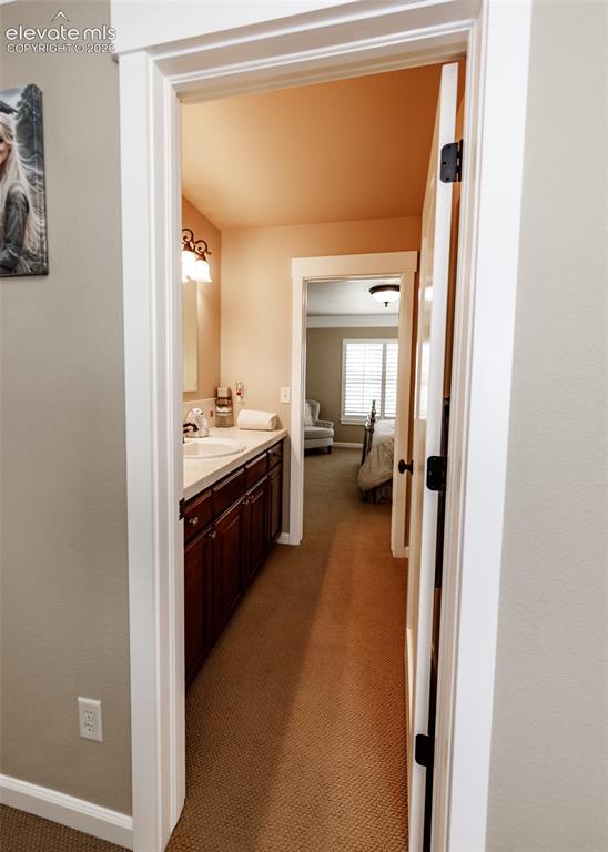 3744 Palazzo Grove Colorado Springs CO 80920