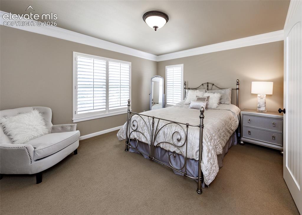 3744 Palazzo Grove Colorado Springs CO 80920