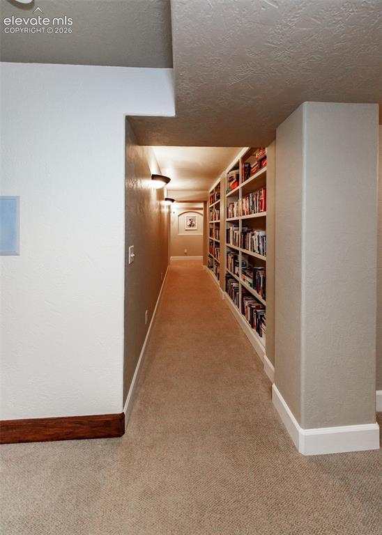 3744 Palazzo Grove Colorado Springs CO 80920