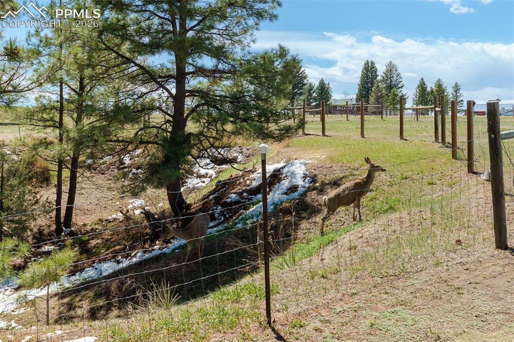 1851 Buttercup Road Elizabeth CO 80107