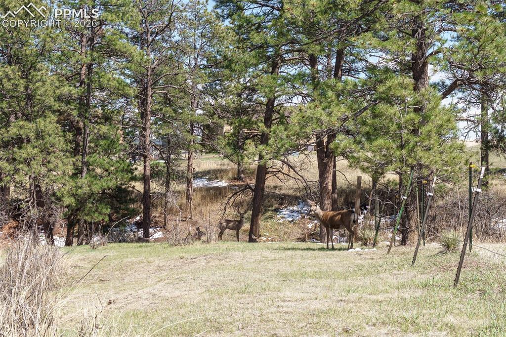1851 Buttercup Road Elizabeth CO 80107
