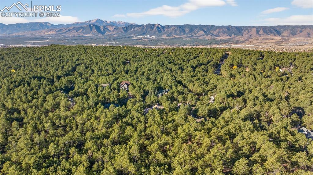 15765 Pineycove Court Colorado Springs CO 80921