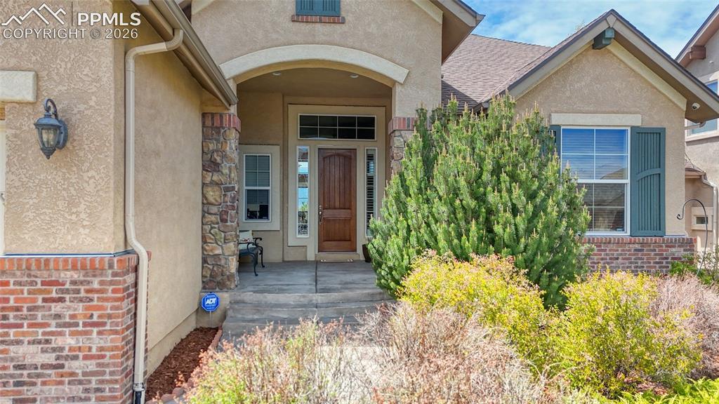 3605 Cherry Plum Drive Colorado Springs CO 80920