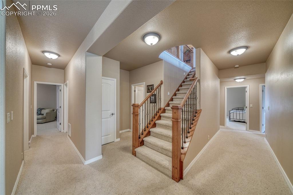 3605 Cherry Plum Drive Colorado Springs CO 80920