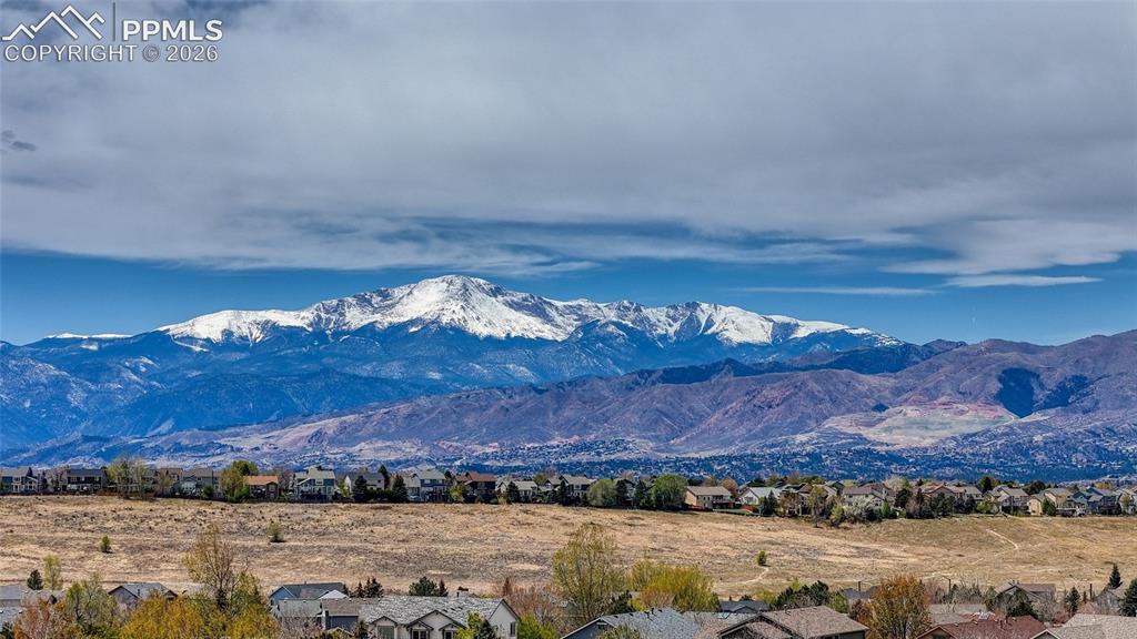 3605 Cherry Plum Drive Colorado Springs CO 80920