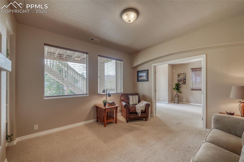 3605 Cherry Plum Drive Colorado Springs CO 80920