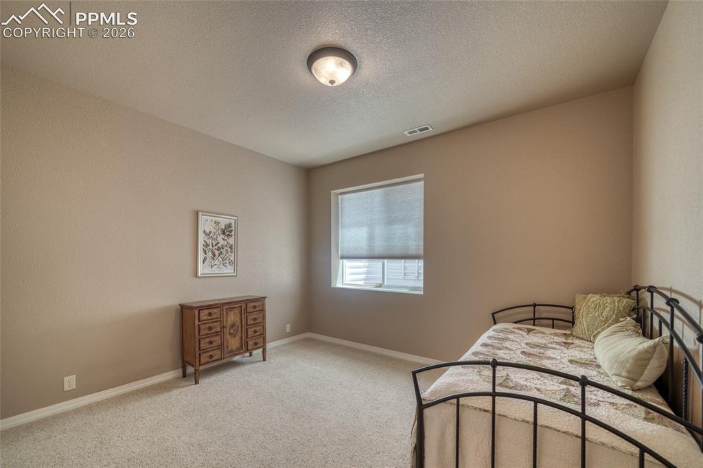 3605 Cherry Plum Drive Colorado Springs CO 80920
