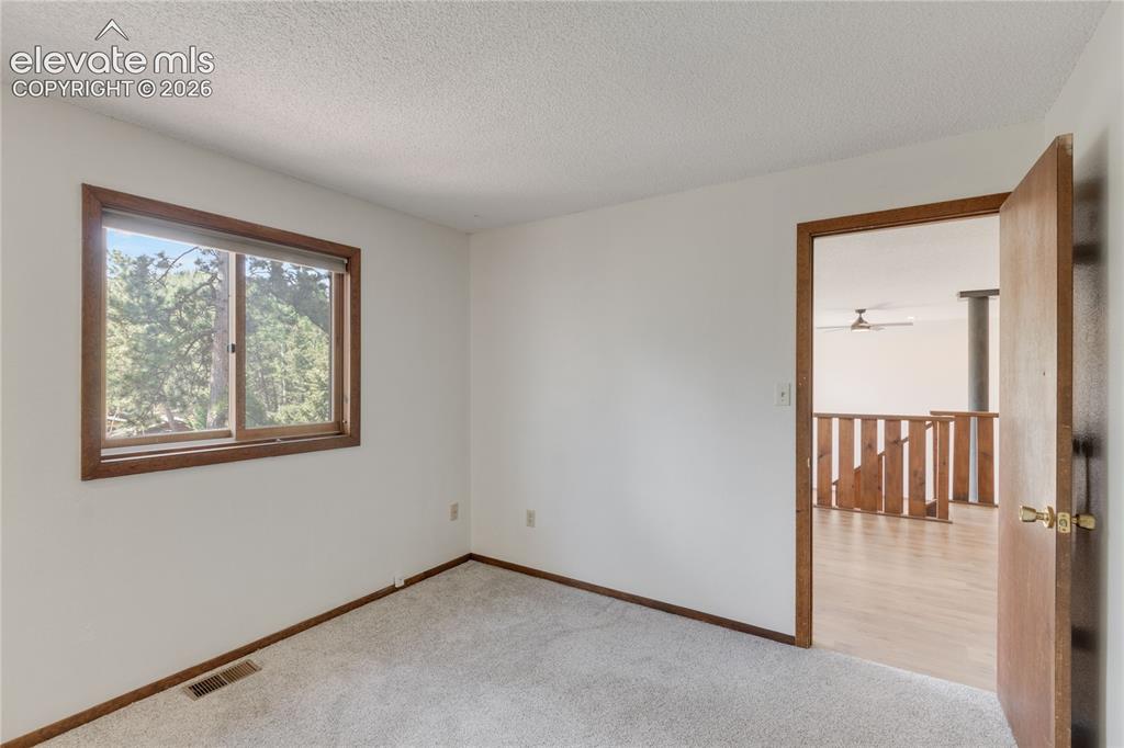 1257 W Midland Avenue Woodland Park CO 80863