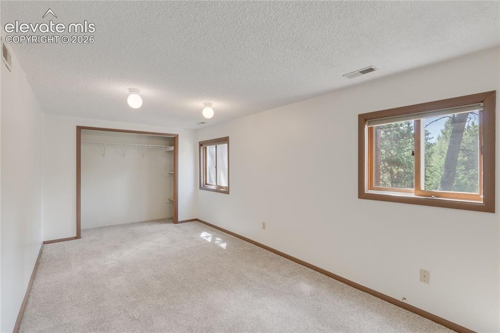 1257 W Midland Avenue Woodland Park CO 80863