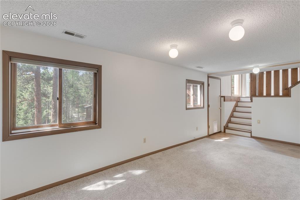 1257 W Midland Avenue Woodland Park CO 80863