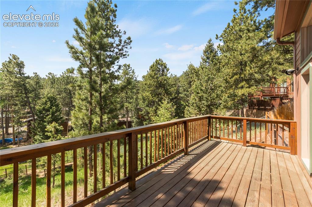 1257 W Midland Avenue Woodland Park CO 80863