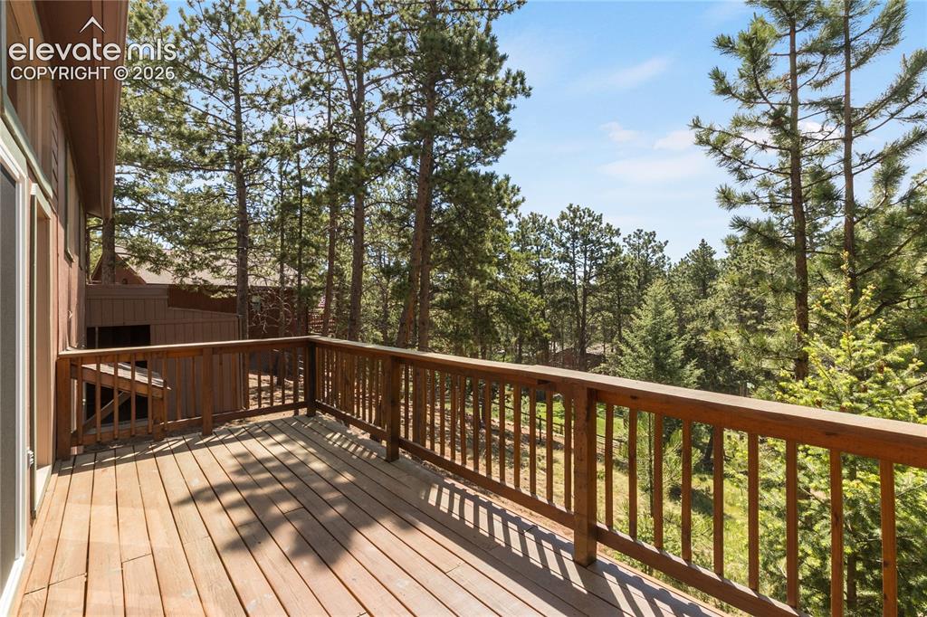 1257 W Midland Avenue Woodland Park CO 80863