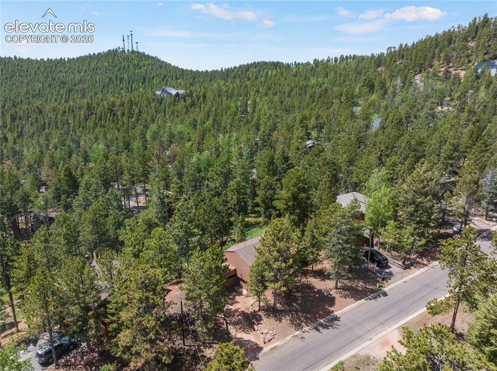 1257 W Midland Avenue Woodland Park CO 80863