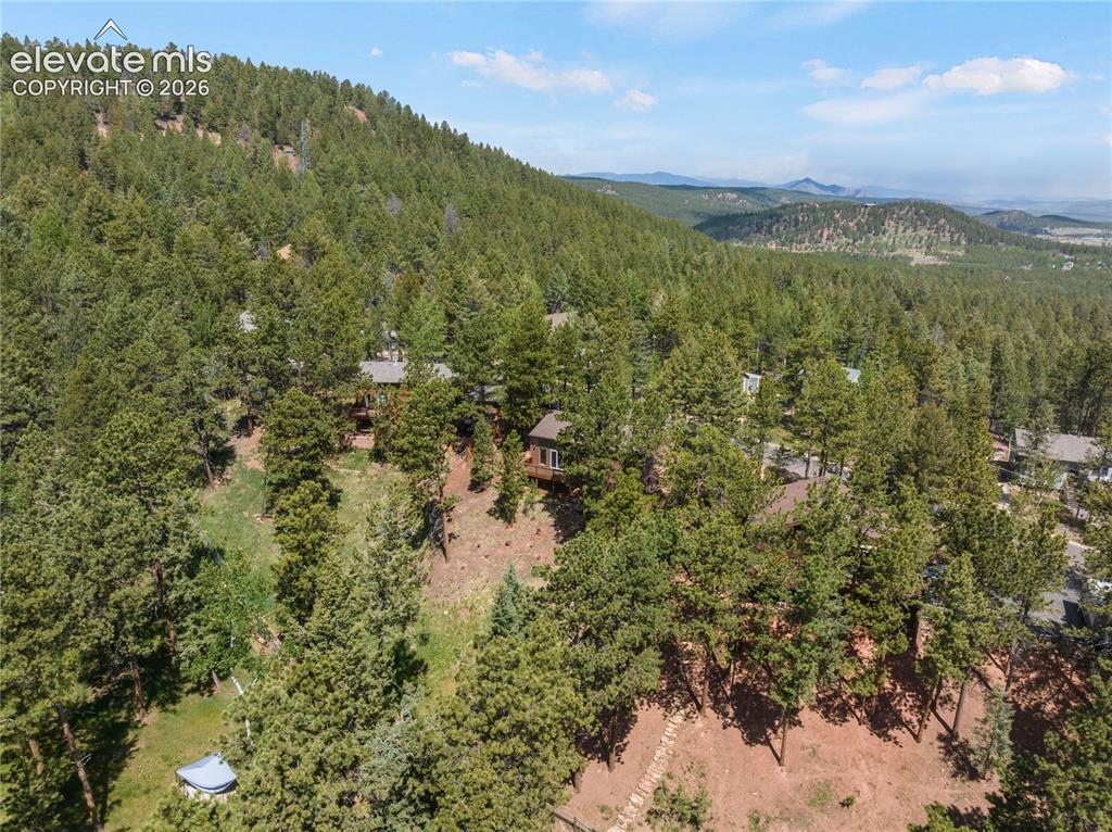 1257 W Midland Avenue Woodland Park CO 80863
